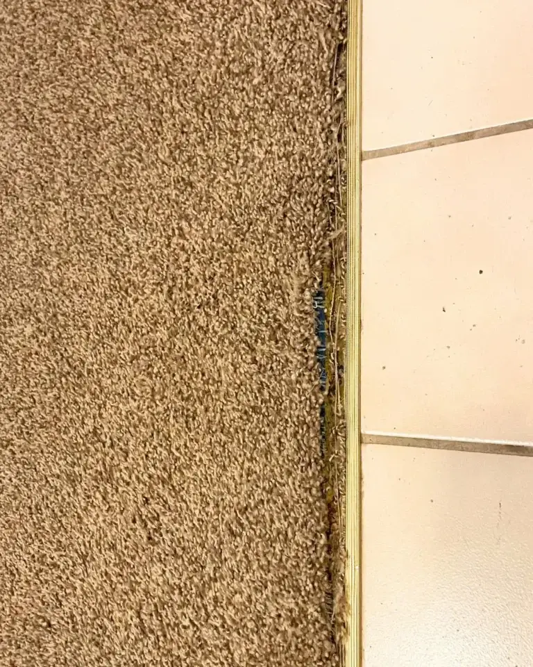 Carpet pulling away from tile transition strip before repair in Summit County Colorado